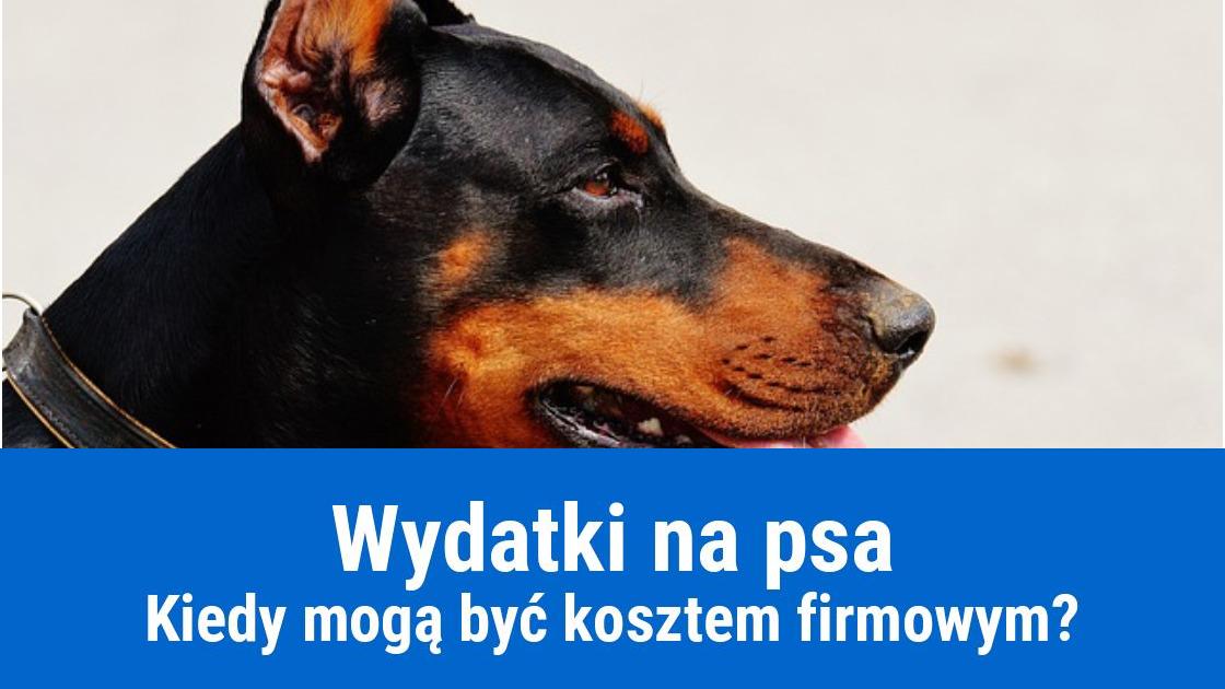 Wydatki na psa w kosztach firmowych